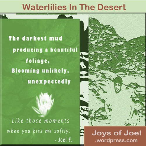 Waterlilies In The Desert, jbautiful love poems joys of joel, poem about courage, love , hope