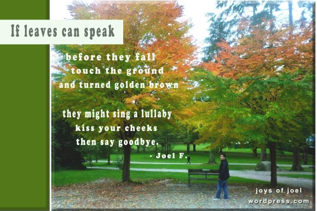 if leaves can speak, a poem about new beginnings, leaves and trees, photography, photos of trees, quotes about leaves, joys of joel poems, poetry