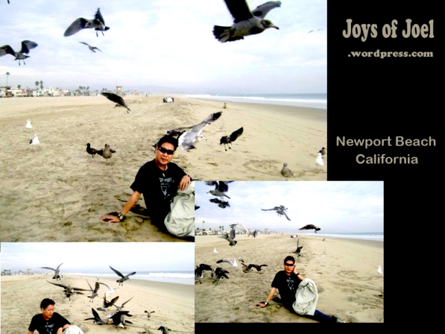 joys of joel poems, seagulls photo, newport beach california, california photo